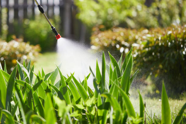 Tamper-Resistant Bait Stations for Rodents in Tipton
