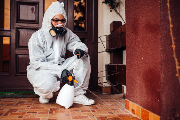 Attic and Crawl Space Rodent Treatment in Tipton